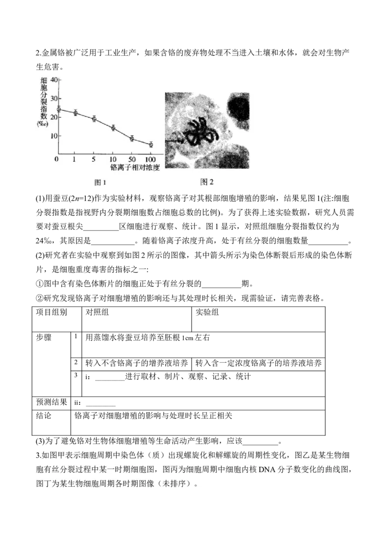 专题4细胞的生命历程（非选择题）&mdash;&mdash;高考生物学模块分练新高考版（含解析）_2024-2025高三（6-6月题库）_2026年1月高三