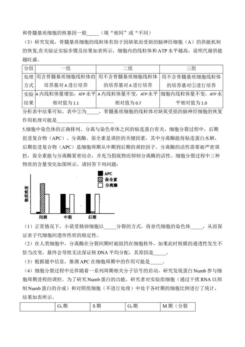专题4细胞的生命历程（非选择题）&mdash;&mdash;高考生物学模块分练新高考版（含解析）_2024-2025高三（6-6月题库）_2026年1月高三