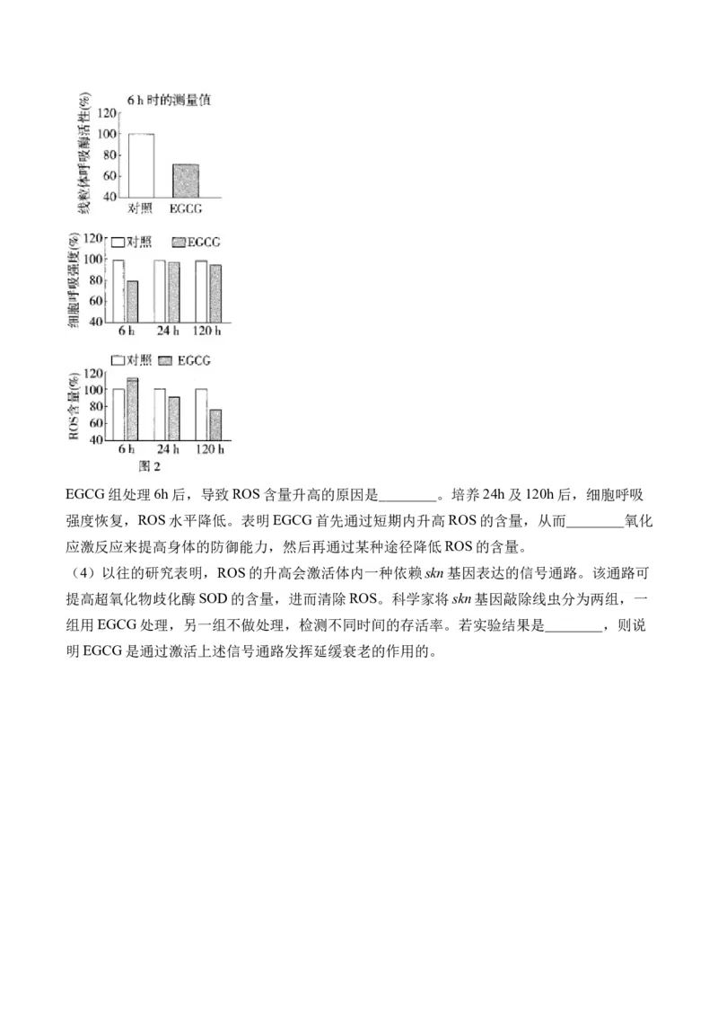 专题4细胞的生命历程（非选择题）&mdash;&mdash;高考生物学模块分练新高考版（含解析）_2024-2025高三（6-6月题库）_2026年1月高三