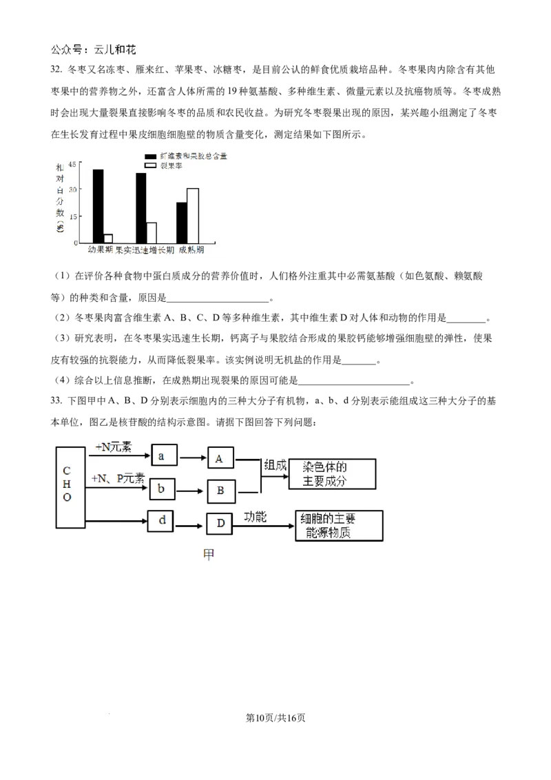 山东省淄博实验中学2024-2025学年高一上学期第一次教学诊断训练生物_2024-2025高一（7-7月题库）_2024年10月试卷_1026山东省淄博实验中学2024-2025学年高一上学期第一次教学诊断训练