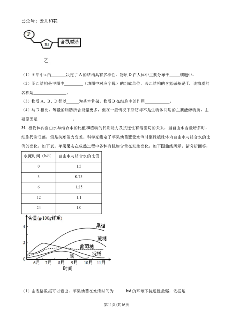 山东省淄博实验中学2024-2025学年高一上学期第一次教学诊断训练生物_2024-2025高一（7-7月题库）_2024年10月试卷_1026山东省淄博实验中学2024-2025学年高一上学期第一次教学诊断训练