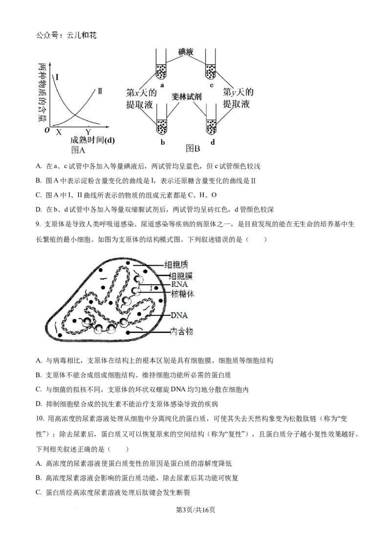 山东省淄博实验中学2024-2025学年高一上学期第一次教学诊断训练生物_2024-2025高一（7-7月题库）_2024年10月试卷_1026山东省淄博实验中学2024-2025学年高一上学期第一次教学诊断训练