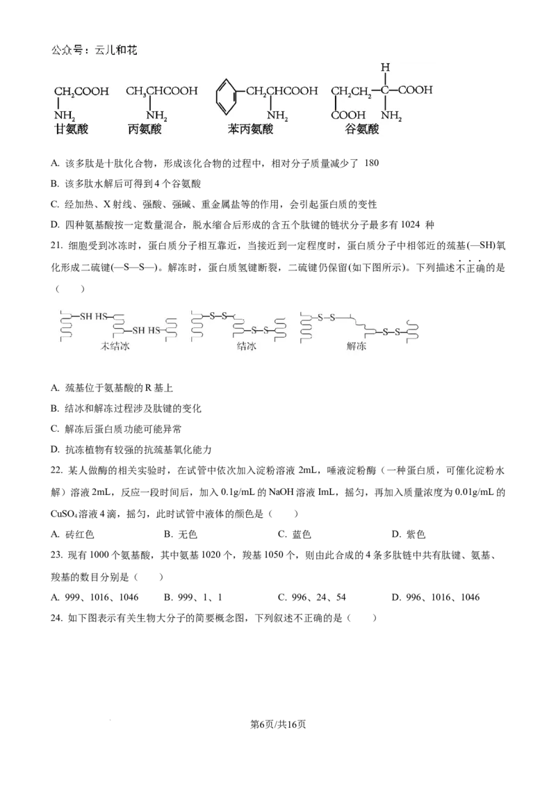 山东省淄博实验中学2024-2025学年高一上学期第一次教学诊断训练生物_2024-2025高一（7-7月题库）_2024年10月试卷_1026山东省淄博实验中学2024-2025学年高一上学期第一次教学诊断训练