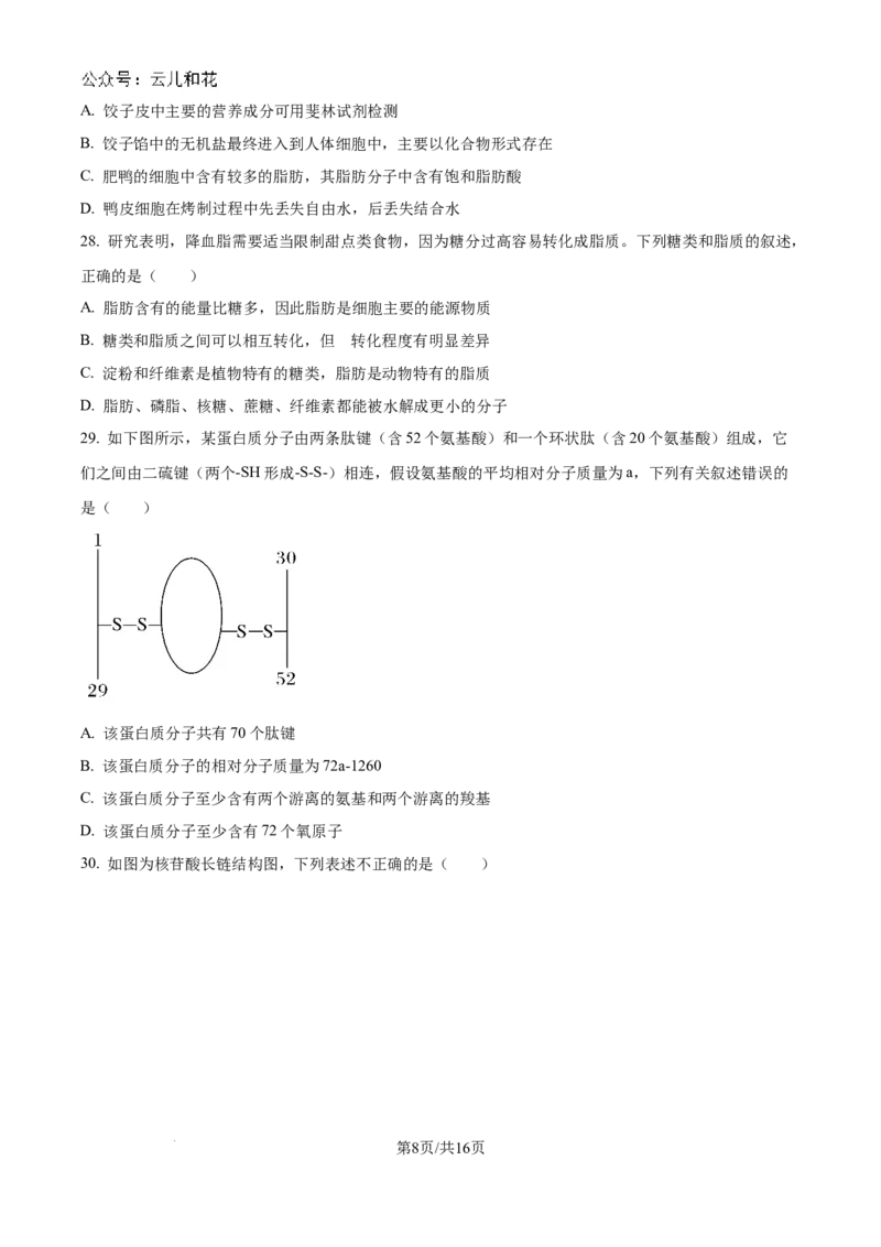 山东省淄博实验中学2024-2025学年高一上学期第一次教学诊断训练生物_2024-2025高一（7-7月题库）_2024年10月试卷_1026山东省淄博实验中学2024-2025学年高一上学期第一次教学诊断训练