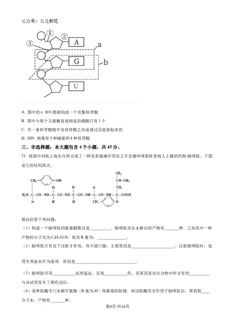 山东省淄博实验中学2024-2025学年高一上学期第一次教学诊断训练生物_2024-2025高一（7-7月题库）_2024年10月试卷_1026山东省淄博实验中学2024-2025学年高一上学期第一次教学诊断训练