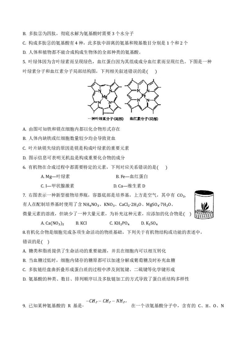 吉林省梅河口市第五中学2024-2025学年高一上学期12月月考试题生物Word版含答案_2024-2025高一（7-7月题库）_2025年01月试卷_0110吉林省梅河口市第五中学2024-2025学年高一上学期12月月考试题