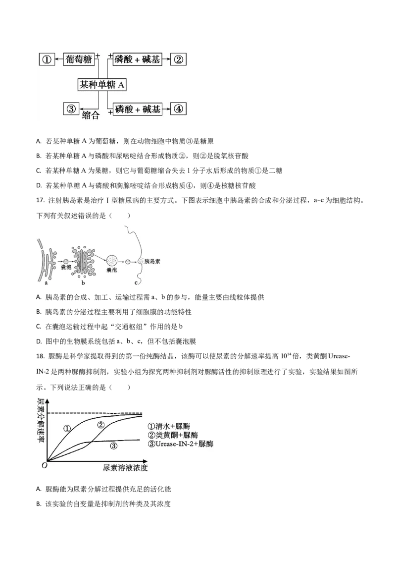 吉林省梅河口市第五中学2024-2025学年高一上学期12月月考试题生物Word版含答案_2024-2025高一（7-7月题库）_2025年01月试卷_0110吉林省梅河口市第五中学2024-2025学年高一上学期12月月考试题