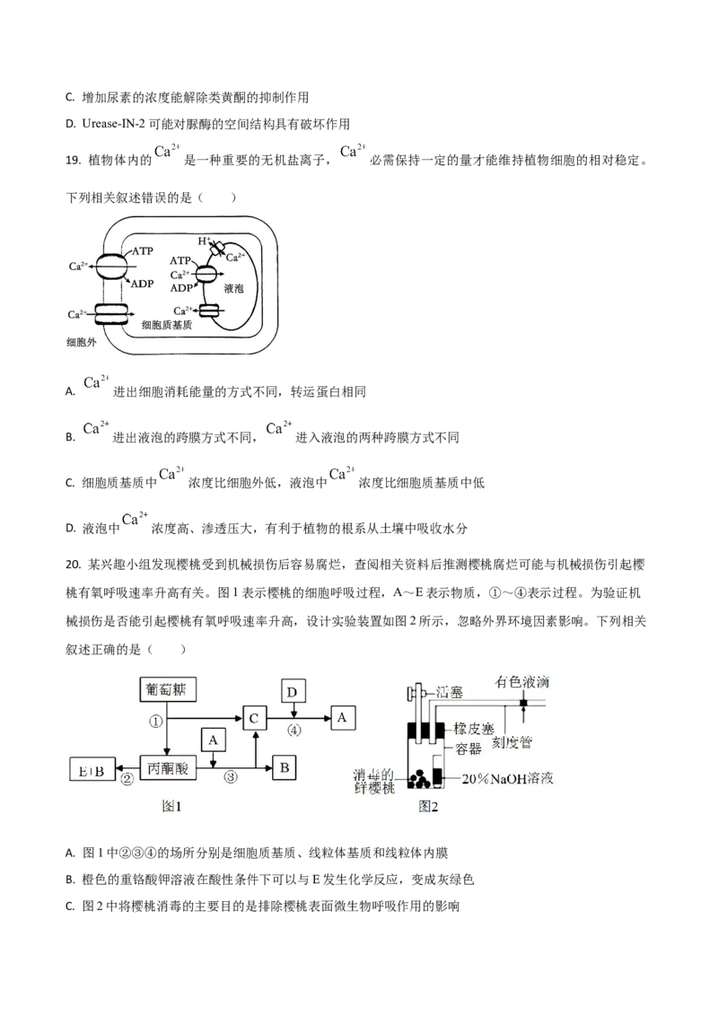 吉林省梅河口市第五中学2024-2025学年高一上学期12月月考试题生物Word版含答案_2024-2025高一（7-7月题库）_2025年01月试卷_0110吉林省梅河口市第五中学2024-2025学年高一上学期12月月考试题