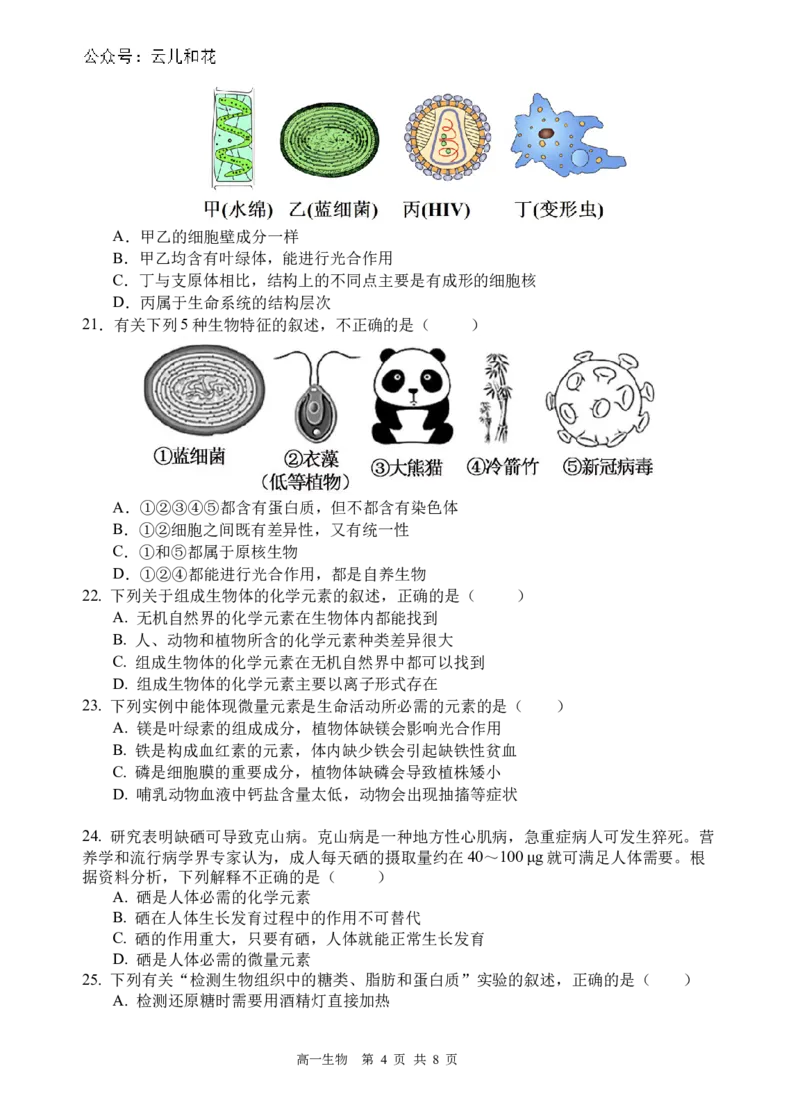 生物试题_2024-2025高一（7-7月题库）_2024年10月试卷_1030四川省遂宁市射洪中学2024-2025学年高一上学期第一学月考
