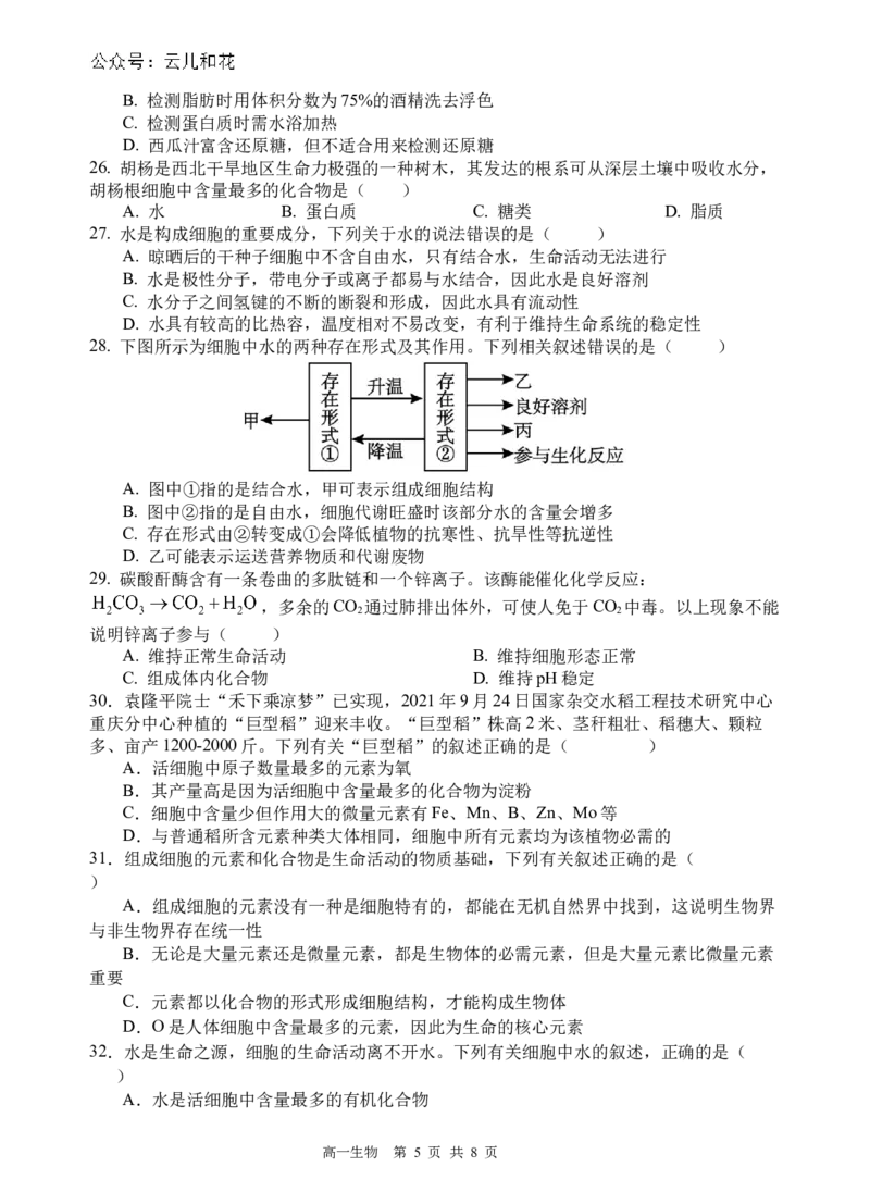 生物试题_2024-2025高一（7-7月题库）_2024年10月试卷_1030四川省遂宁市射洪中学2024-2025学年高一上学期第一学月考