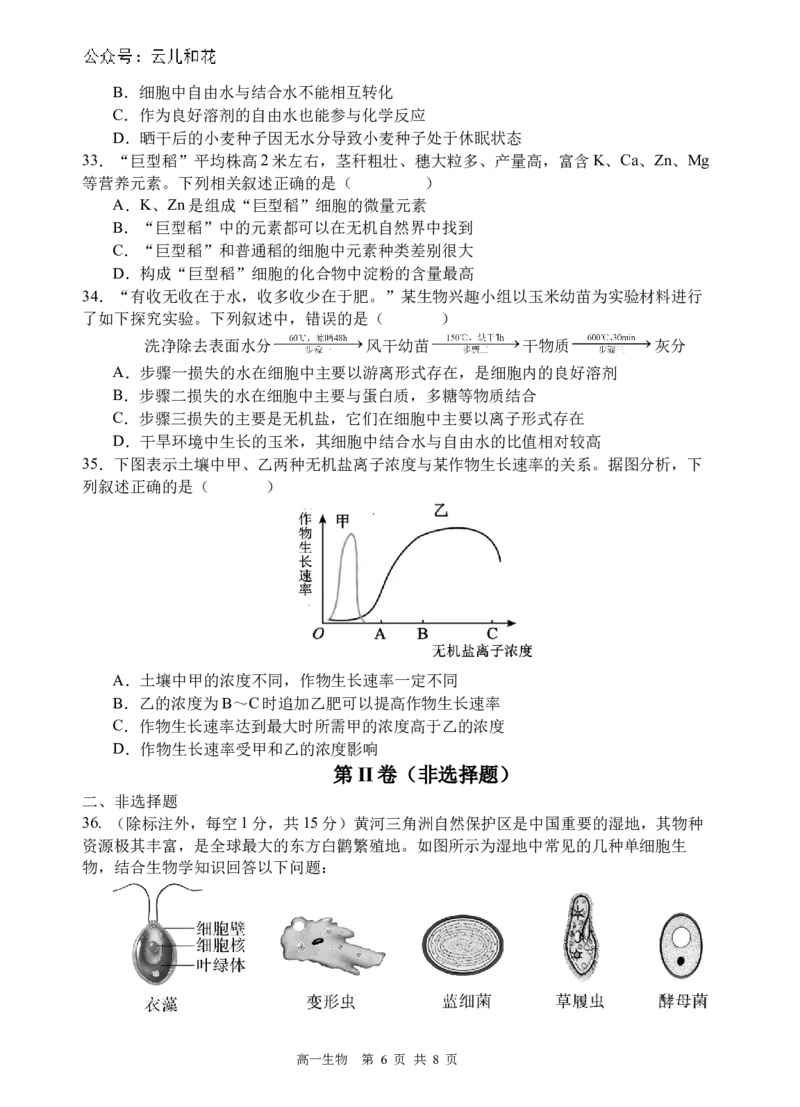 生物试题_2024-2025高一（7-7月题库）_2024年10月试卷_1030四川省遂宁市射洪中学2024-2025学年高一上学期第一学月考