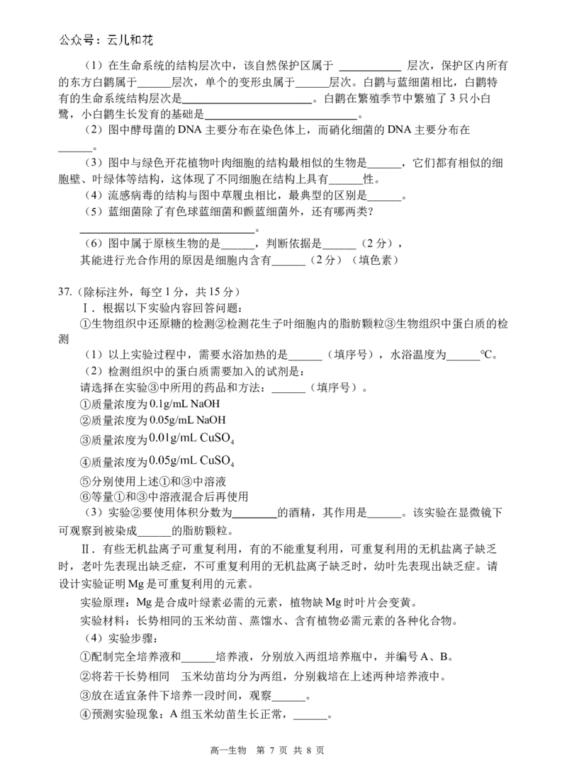 生物试题_2024-2025高一（7-7月题库）_2024年10月试卷_1030四川省遂宁市射洪中学2024-2025学年高一上学期第一学月考