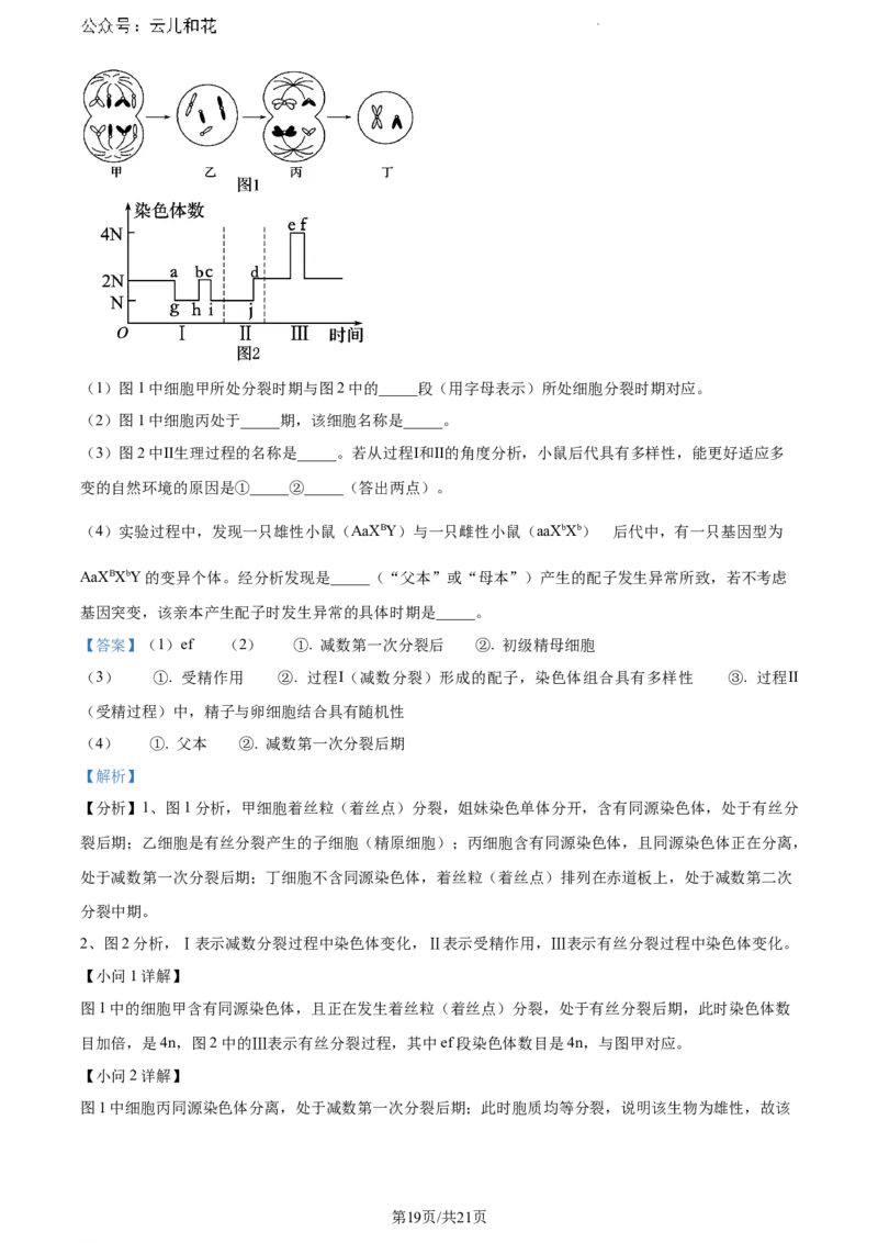 内蒙古自治区通辽市科尔沁区通辽市第一中学2023-2024学年高一下学期7月期末生物试题（解析版）_2024-2025高一（7-7月题库）_2024年7月试卷