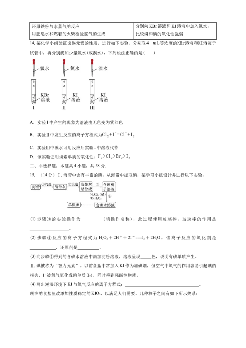 安徽省滁州市定远县育才学校2025-2026学年高一（上）12月月考化学试题（含答案）_2024-2025高一（7-7月题库）_2026年1月高一