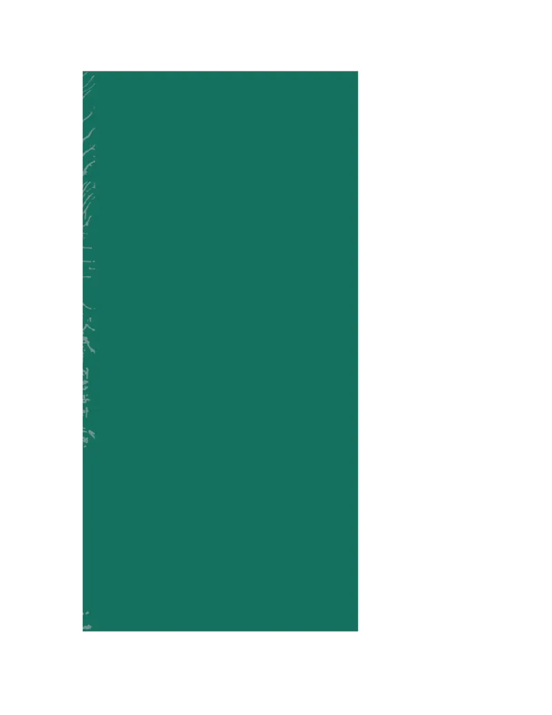 安徽省部分地市2024-2025学年高一下学期开学考试英语试题（含答案，无听力音频无听力原文）_2024-2025高一（7-7月题库）_2025年03月试卷