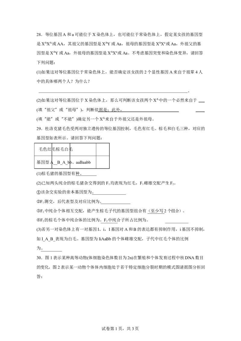 吉林省长春市第八中学2024-2025学年高一下学期4月月考生物试题（有答案）_2024-2025高一（7-7月题库）_2025年04月试卷_0428吉林省长春市第八中学2024-2025学年高一下学期4月月考