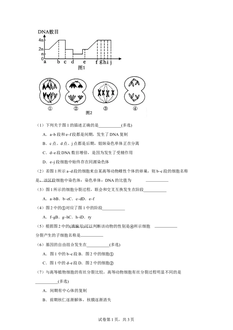 吉林省长春市第八中学2024-2025学年高一下学期4月月考生物试题（有答案）_2024-2025高一（7-7月题库）_2025年04月试卷_0428吉林省长春市第八中学2024-2025学年高一下学期4月月考