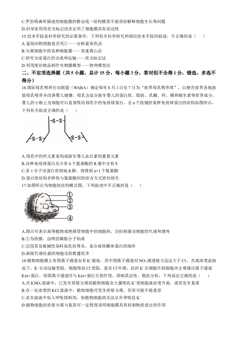 辽宁省沈阳市郊联体2024-2025学年高一上学期11月期中考试生物（含答案）_2024-2025高一（7-7月题库）_2024年11月试卷_1120辽宁省沈阳市郊联体2024-2025学年高一上学期11月期中考试