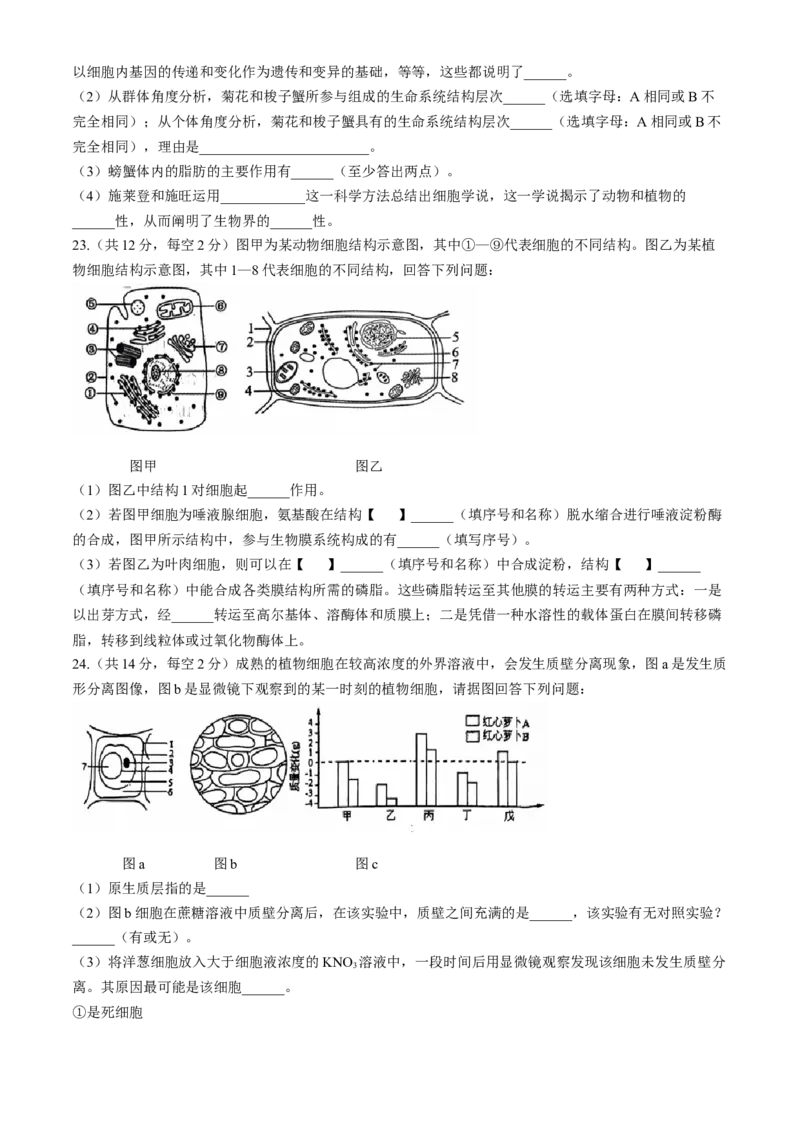 辽宁省沈阳市郊联体2024-2025学年高一上学期11月期中考试生物（含答案）_2024-2025高一（7-7月题库）_2024年11月试卷_1120辽宁省沈阳市郊联体2024-2025学年高一上学期11月期中考试