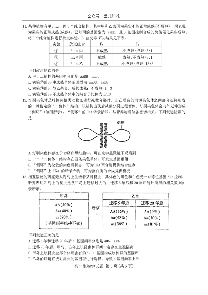 福建省厦门市2023-2024学年高一下学期7月期末质量检测生物试题_2024-2025高一（7-7月题库）_2024年8月试卷_0806福建省厦门市2023-2024学年高一下学期期末质量检测