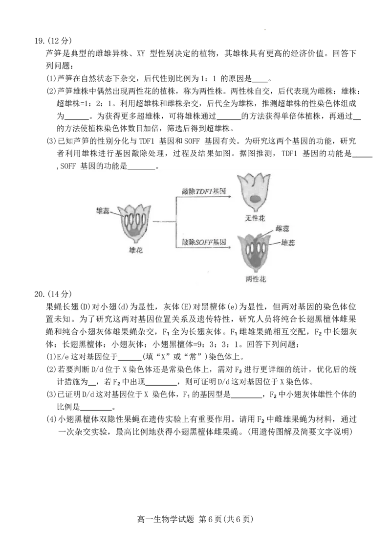 福建省厦门市2023-2024学年高一下学期7月期末质量检测生物试题_2024-2025高一（7-7月题库）_2024年8月试卷_0806福建省厦门市2023-2024学年高一下学期期末质量检测