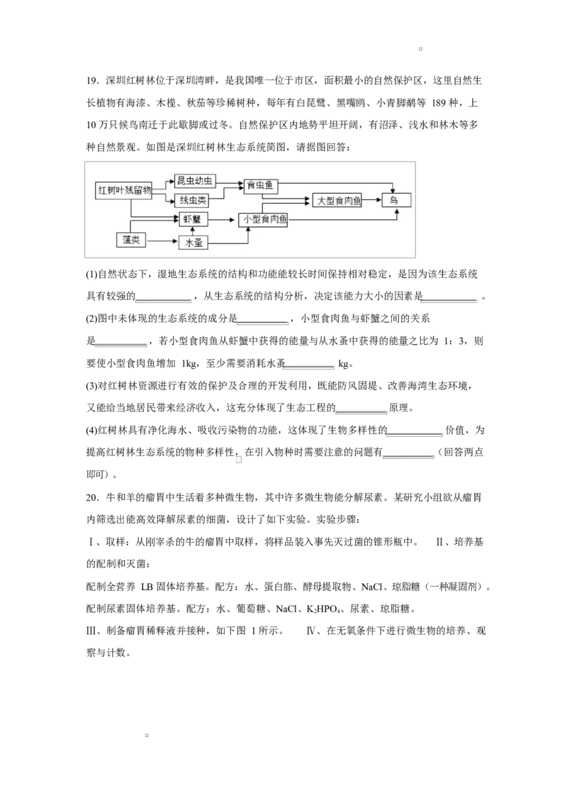 湖北省黄冈市蕲春县第一高级中学2024-2025学年高二下学期5月月考生物试题_2024-2025高二（7-7月题库）_2025年6月试卷_0605湖北省黄冈市蕲春县第一高级中学2024-2025学年高二下学期5月月考