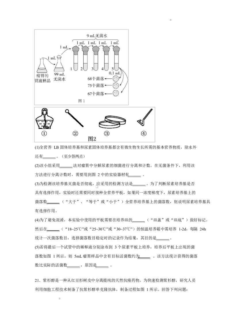 湖北省黄冈市蕲春县第一高级中学2024-2025学年高二下学期5月月考生物试题_2024-2025高二（7-7月题库）_2025年6月试卷_0605湖北省黄冈市蕲春县第一高级中学2024-2025学年高二下学期5月月考