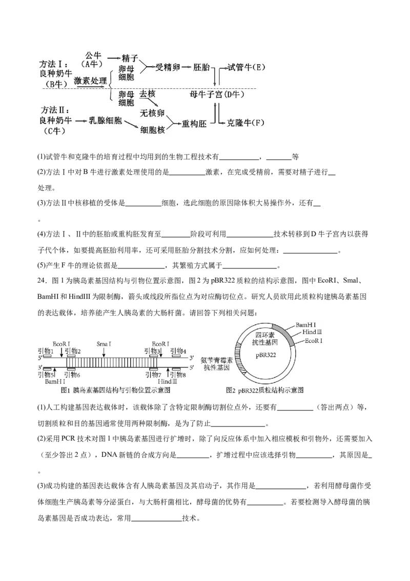 江苏省徐州市2024-2025学年高二下学期期中考试生物Word版含答案_2024-2025高二（7-7月题库）_2025年6月试卷_0609江苏省徐州市2024-2025学年高二下学期期中考试