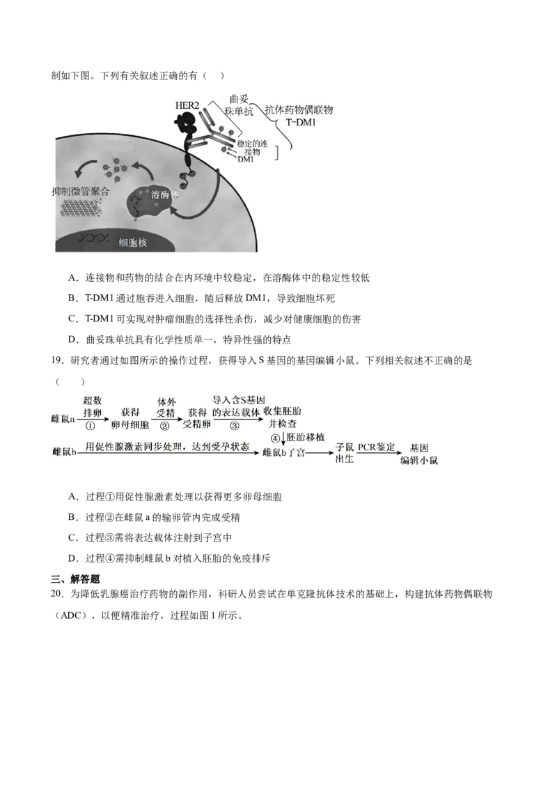 江苏省徐州市2024-2025学年高二下学期期中考试生物Word版含答案_2024-2025高二（7-7月题库）_2025年6月试卷_0609江苏省徐州市2024-2025学年高二下学期期中考试