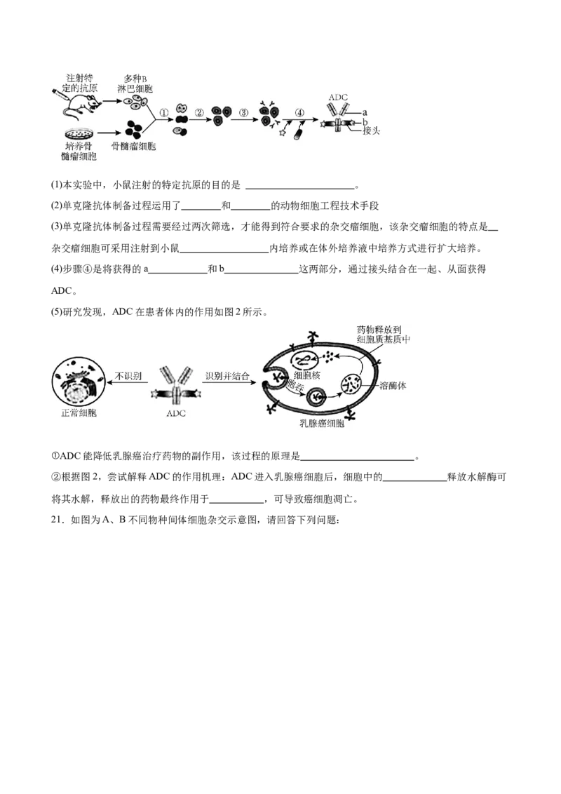 江苏省徐州市2024-2025学年高二下学期期中考试生物Word版含答案_2024-2025高二（7-7月题库）_2025年6月试卷_0609江苏省徐州市2024-2025学年高二下学期期中考试