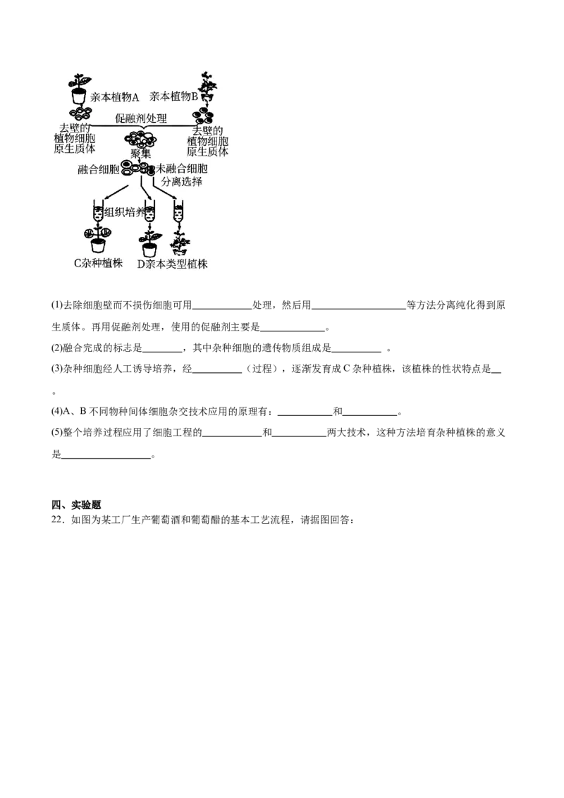 江苏省徐州市2024-2025学年高二下学期期中考试生物Word版含答案_2024-2025高二（7-7月题库）_2025年6月试卷_0609江苏省徐州市2024-2025学年高二下学期期中考试