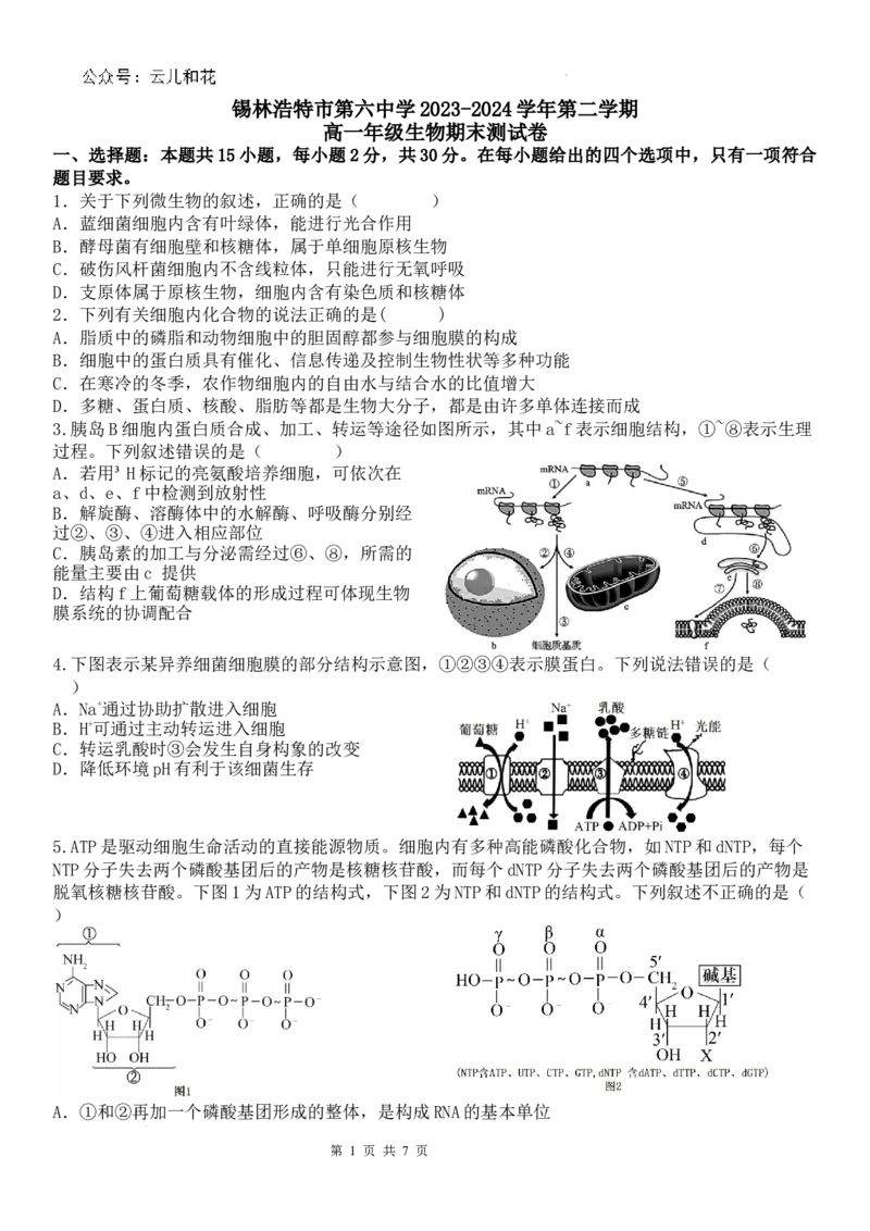 生物打印_2024-2025高一（7-7月题库）_2024年7月试卷_0724内蒙古锡林郭勒盟2023-2024学年高一下学期7月期末