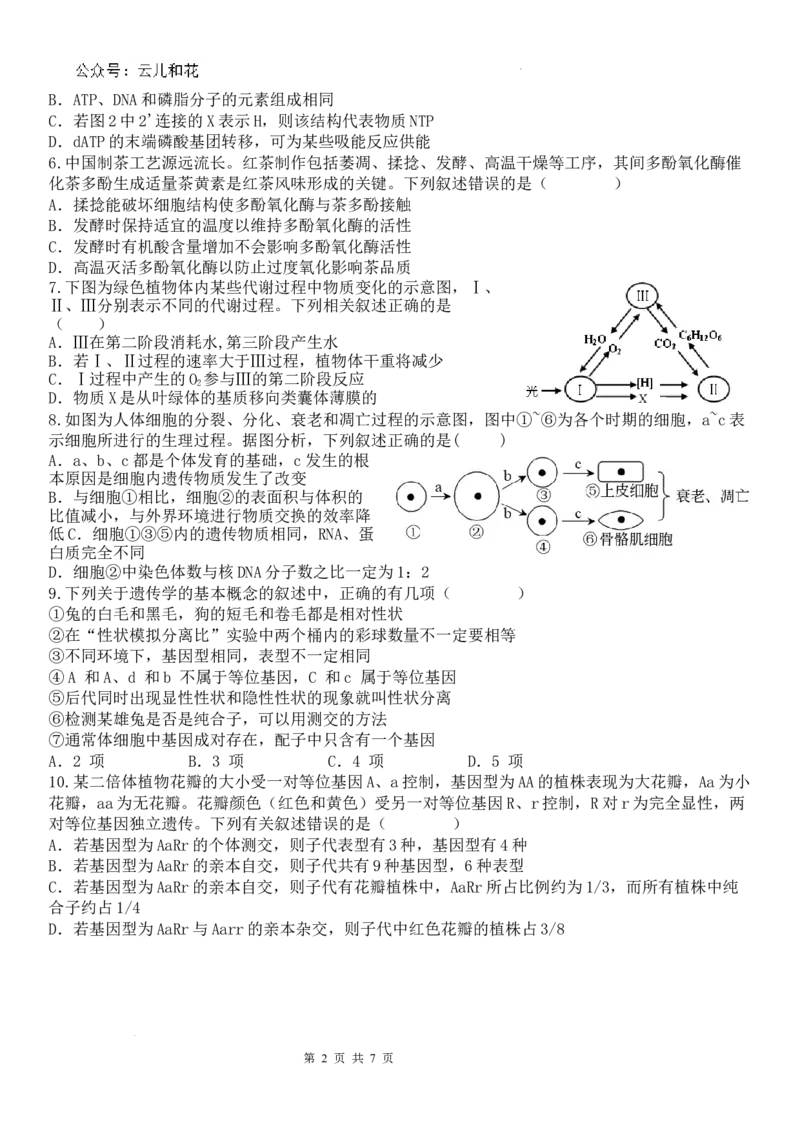 生物打印_2024-2025高一（7-7月题库）_2024年7月试卷_0724内蒙古锡林郭勒盟2023-2024学年高一下学期7月期末