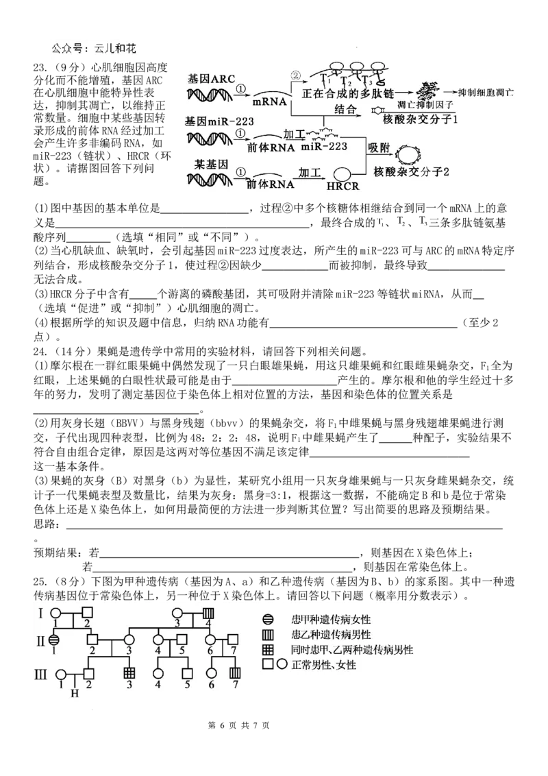 生物打印_2024-2025高一（7-7月题库）_2024年7月试卷_0724内蒙古锡林郭勒盟2023-2024学年高一下学期7月期末