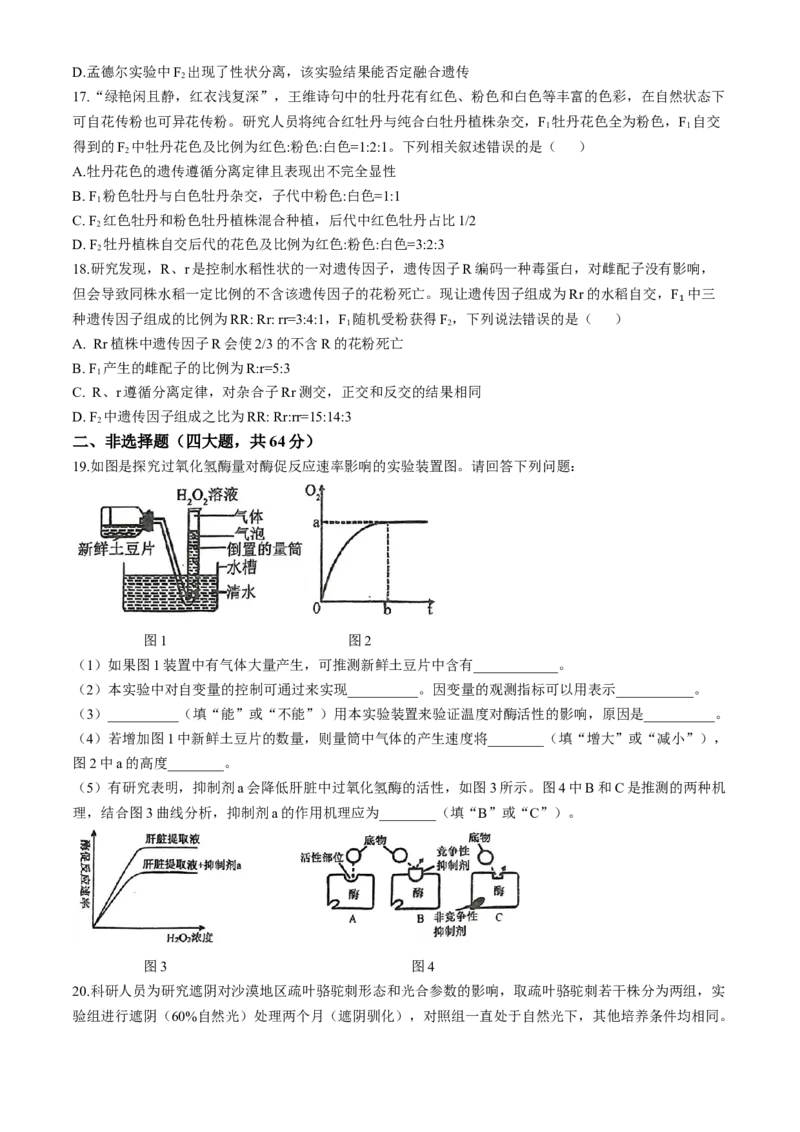 湖北省荆楚优质高中联盟2024-2025学年高一下学期3月月考生物学试卷（含答案）_2024-2025高一（7-7月题库）_2025年04月试卷_0407湖北省荆楚优质高中联盟2024-2025学年高一下学期3月月考