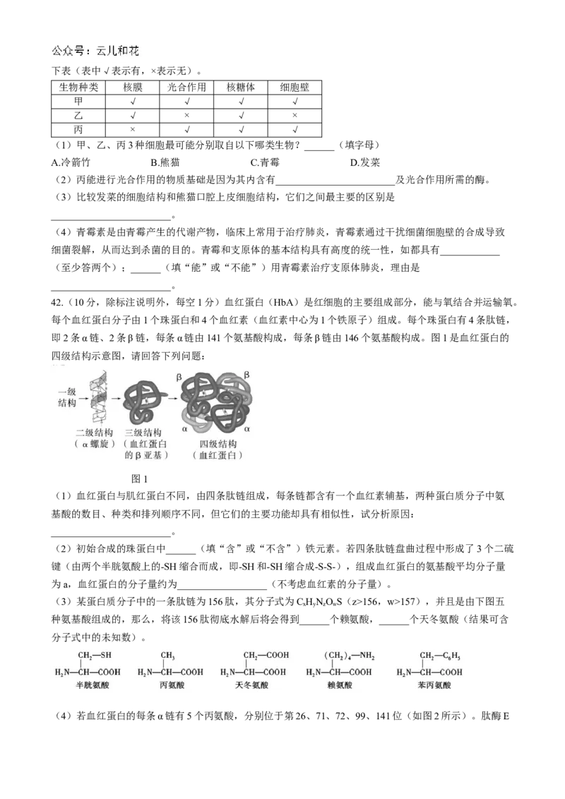 四川省成都市第七中学2024-2025学年高一上学期11月期中考试生物Word版含解析_2024-2025高一（7-7月题库）_2024年11月试卷_1113四川省成都市第七中学2024-2025学年高一上学期11月期中考试