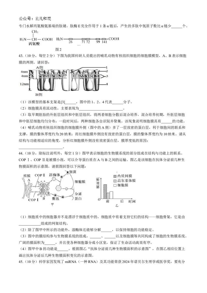 四川省成都市第七中学2024-2025学年高一上学期11月期中考试生物Word版含解析_2024-2025高一（7-7月题库）_2024年11月试卷_1113四川省成都市第七中学2024-2025学年高一上学期11月期中考试