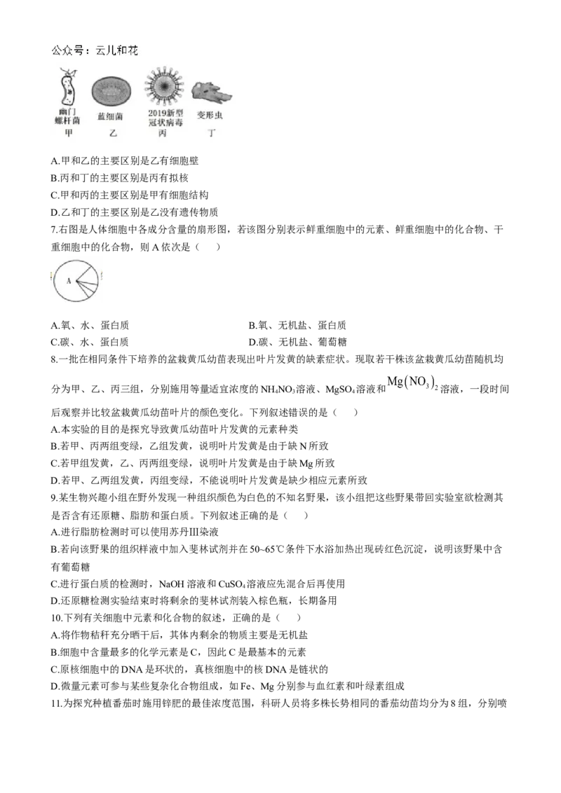 四川省成都市第七中学2024-2025学年高一上学期11月期中考试生物Word版含解析_2024-2025高一（7-7月题库）_2024年11月试卷_1113四川省成都市第七中学2024-2025学年高一上学期11月期中考试