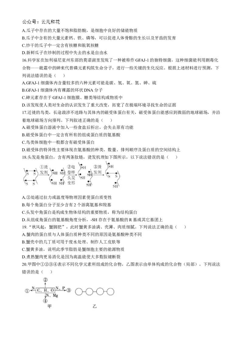 四川省成都市第七中学2024-2025学年高一上学期11月期中考试生物Word版含解析_2024-2025高一（7-7月题库）_2024年11月试卷_1113四川省成都市第七中学2024-2025学年高一上学期11月期中考试