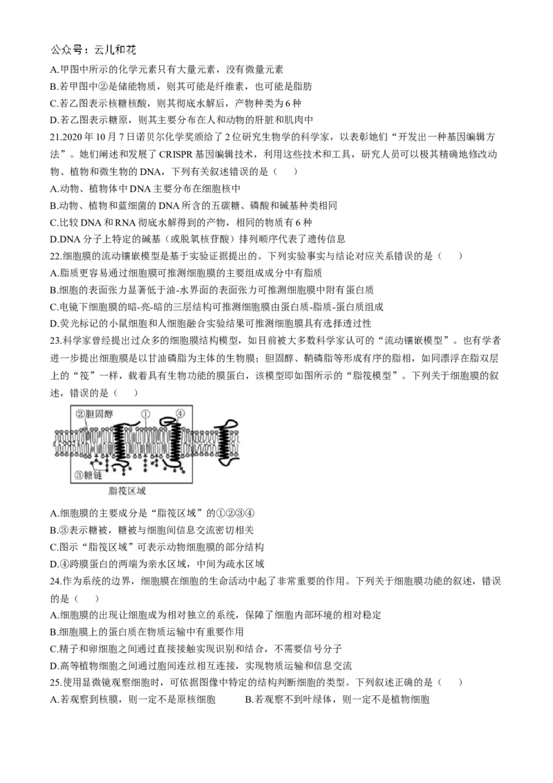 四川省成都市第七中学2024-2025学年高一上学期11月期中考试生物Word版含解析_2024-2025高一（7-7月题库）_2024年11月试卷_1113四川省成都市第七中学2024-2025学年高一上学期11月期中考试