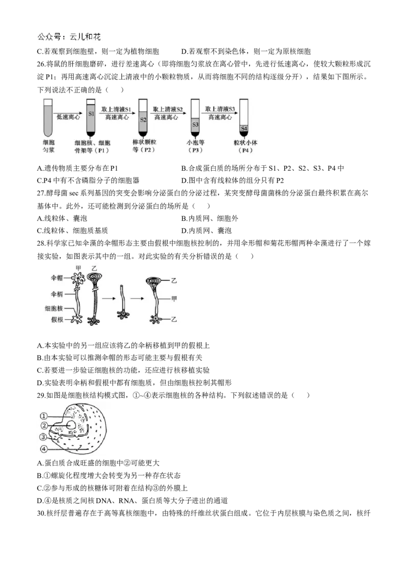 四川省成都市第七中学2024-2025学年高一上学期11月期中考试生物Word版含解析_2024-2025高一（7-7月题库）_2024年11月试卷_1113四川省成都市第七中学2024-2025学年高一上学期11月期中考试
