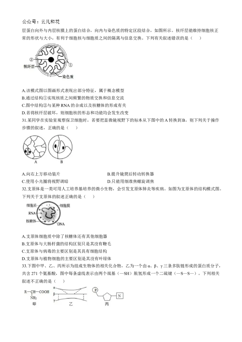 四川省成都市第七中学2024-2025学年高一上学期11月期中考试生物Word版含解析_2024-2025高一（7-7月题库）_2024年11月试卷_1113四川省成都市第七中学2024-2025学年高一上学期11月期中考试