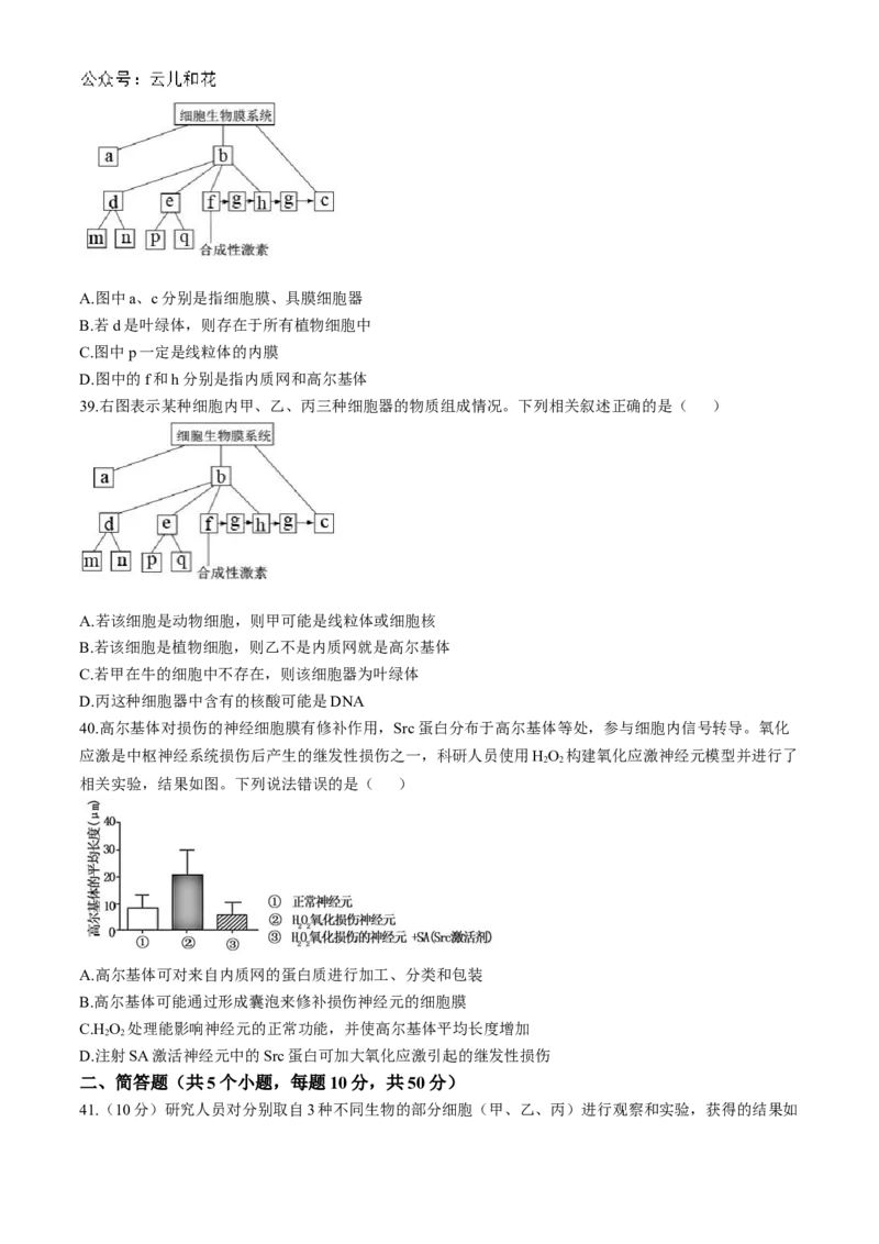 四川省成都市第七中学2024-2025学年高一上学期11月期中考试生物Word版含解析_2024-2025高一（7-7月题库）_2024年11月试卷_1113四川省成都市第七中学2024-2025学年高一上学期11月期中考试
