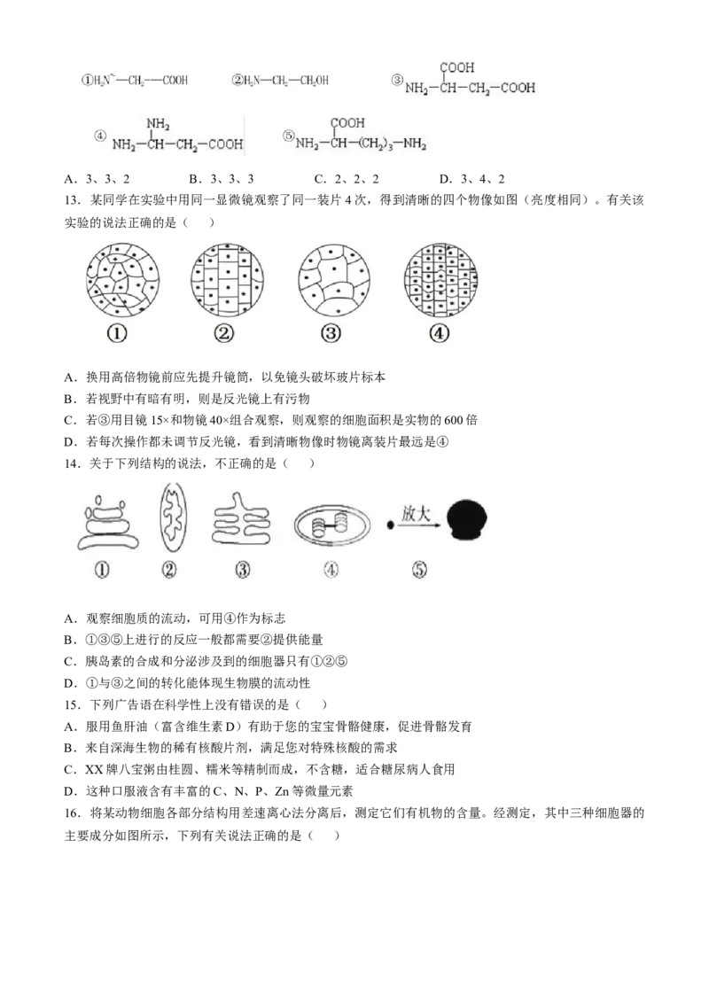 福建省福州市山海联盟教学协作体2024-2025学年高一上学期11月期中生物试题（含答案）_2024-2025高一（7-7月题库）_2024年11月试卷