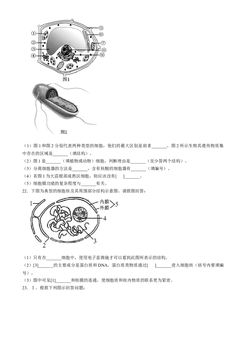 福建省福州市山海联盟教学协作体2024-2025学年高一上学期11月期中生物试题（含答案）_2024-2025高一（7-7月题库）_2024年11月试卷