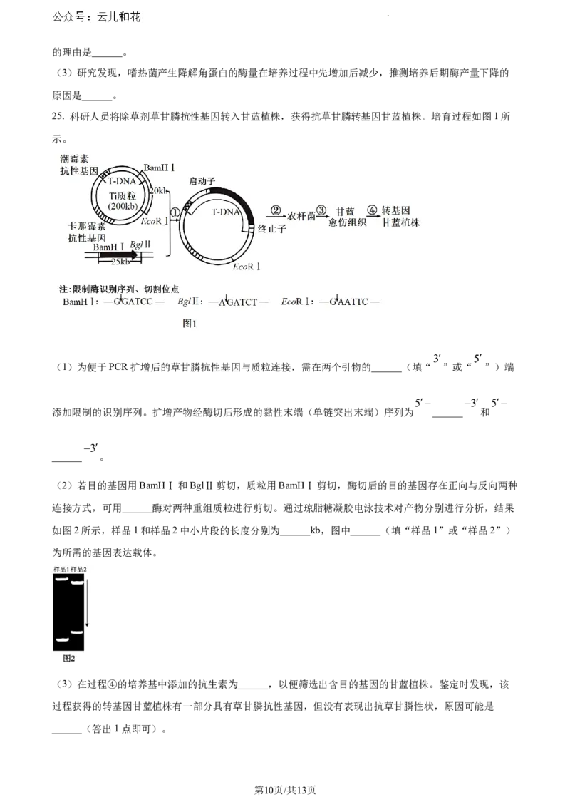 山东省日照市2023-2024学年高二下学期期末考试生物试题_2024-2025高一（7-7月题库）_2024年8月试卷_0802山东省日照市2023-2024学年高一下学期期末考试