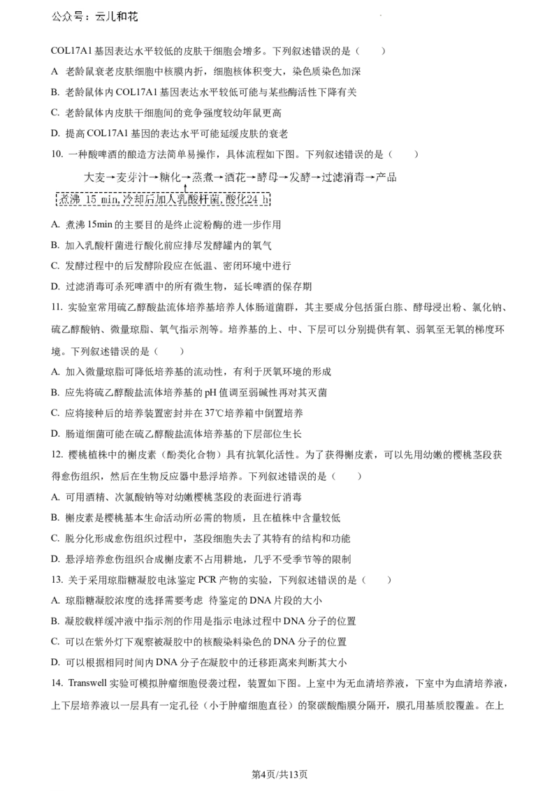 山东省日照市2023-2024学年高二下学期期末考试生物试题_2024-2025高一（7-7月题库）_2024年8月试卷_0802山东省日照市2023-2024学年高一下学期期末考试