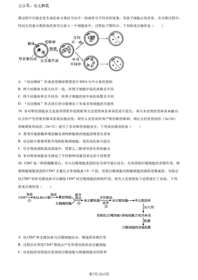 山东省日照市2023-2024学年高二下学期期末考试生物试题_2024-2025高一（7-7月题库）_2024年8月试卷_0802山东省日照市2023-2024学年高一下学期期末考试