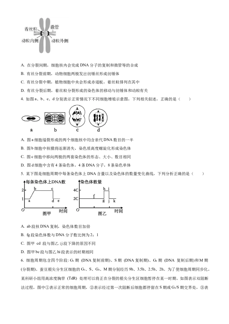 湖北省武汉市第六中学2024-2025学年高一下学期第1次月考生物学试题（含答案）_2024-2025高一（7-7月题库）_2025年03月试卷_0326湖北省武汉市第六中学2024-2025学年高一下学期3月月考