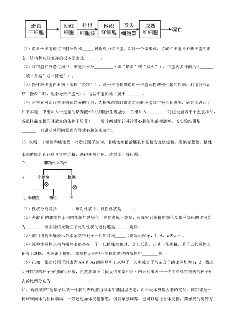 湖北省武汉市第六中学2024-2025学年高一下学期第1次月考生物学试题（含答案）_2024-2025高一（7-7月题库）_2025年03月试卷_0326湖北省武汉市第六中学2024-2025学年高一下学期3月月考